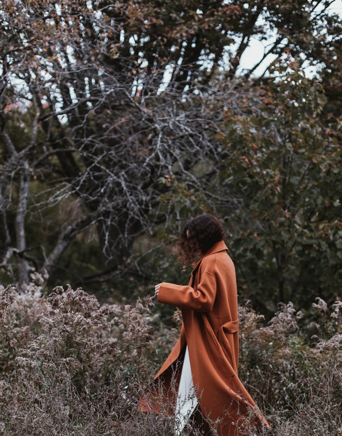 Campaign 04